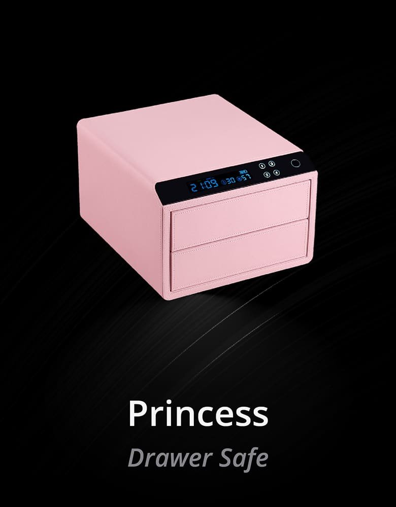 My AFB Safe - Princess